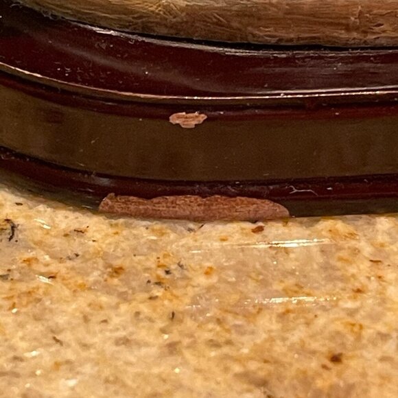 Photographer Figurine - Louis Dionne - Charming - Picture 5 of 8